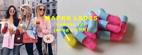 метадон Богданович