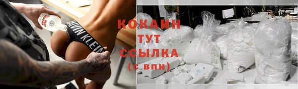 метадон Богданович