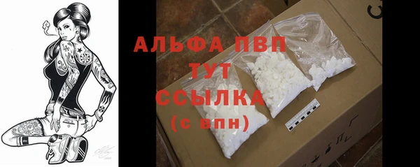 прущие крисы Богородицк