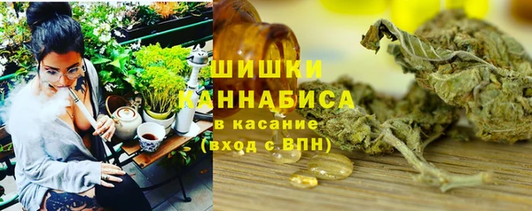 метадон Богданович