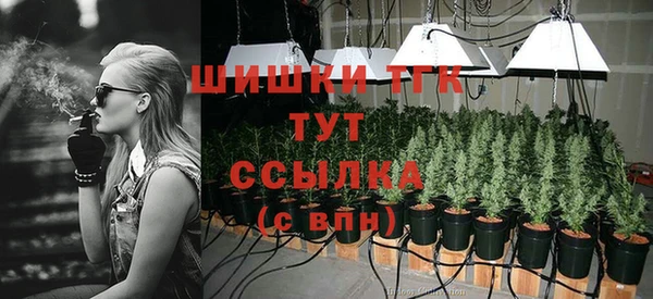 метадон Богданович