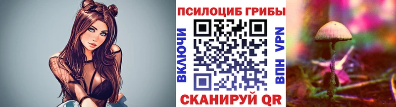 Псилоцибиновые грибы прущие грибы Пенза